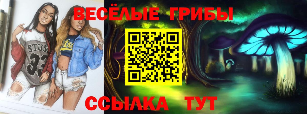 Псилоцибиновые грибы мухоморы  Вход с VPN  Галлюциногенные грибы ЛСД  Видное 